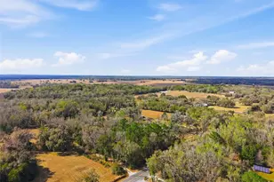 16145 Snow Memorial Hwy, Brooksville, FL 34601 - Photo 30