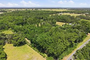 16145 Snow Memorial Hwy, Brooksville, FL 34601 - Photo 48