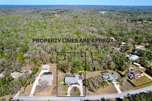 10655 Lakeview Dr, New Port Richey, FL 34654 - Photo 82