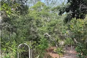 1890 Whispering Way, Tarpon Springs, FL 34689 - Photo 14