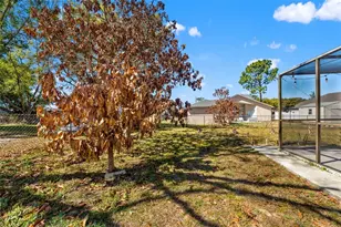 4151 Montano Ave, Spring Hill, FL 34609 - Photo 42
