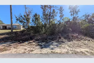 13014 Hanley Drive, Spring Hill, FL 34609 - Photo 8