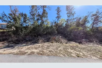 13014 Hanley Drive, Spring Hill, FL 34609 - Photo 1