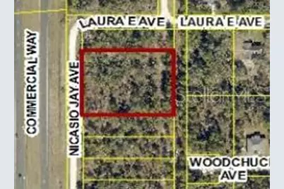 17496 Nicasio Jay Avenue, Weeki Wachee, FL 34614 - Photo 4