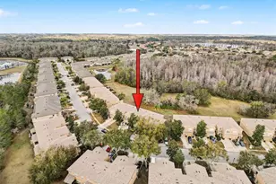 11807 Castine St, New Port Richey, FL 34654 - Photo 26