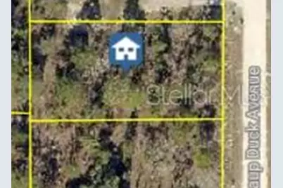 16051 Scaup Duck Avenue, Weeki Wachee, FL 34614 - Photo 1