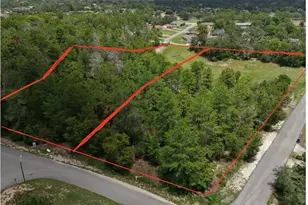 0 Fayson Ln, Spring Hill, FL 34609 - Photo 1