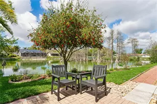3817 Erin Brook Dr, New Port Richey, FL 34655 - Photo 54
