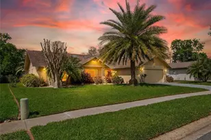 3817 Erin Brook Dr, New Port Richey, FL 34655 - Photo 12