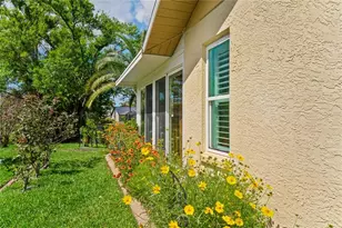 3817 Erin Brook Dr, New Port Richey, FL 34655 - Photo 64