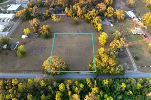 Florence Ave, Thonotosassa, FL 33592 - Photo 1