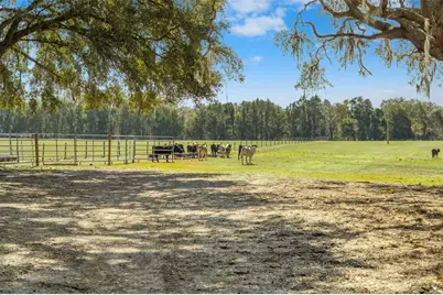 Lake Erie Road, Groveland, FL 34736 - Photo 14