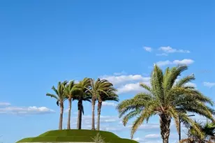 10321 Trumpet Honeysuckle Wy, San Antonio, FL 33576 - Photo 22