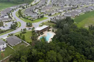 6426 Spider Lily Way, New Port Richey, FL 34653 - Photo 44