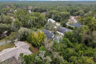 46 Greentree St, Homosassa, FL 34446 - Photo 46