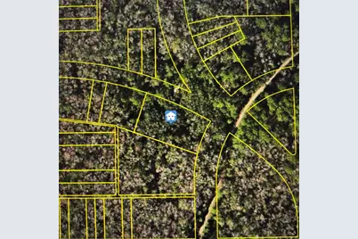 8748 W Elba Place, Homosassa, FL 34448 - Photo 4