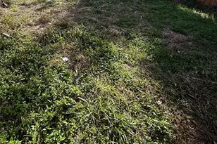 5318 5320 5324 Cedar Ln, New Port Richey, FL 34652 - Photo 24