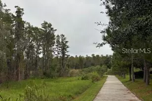 15090 Caravan Ave, Odessa, FL 33556 - Photo 50