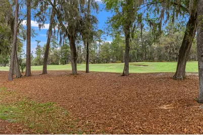 19571 Lily Pond Court, Brooksville, FL 34601 - Photo 6