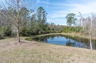 3841 Night Star Trail, Odessa, FL 33556 - Photo 38