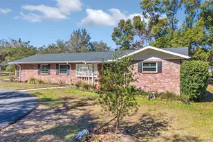 23041 Dewitt Dr, Brooksville, FL 34601 - Photo 4
