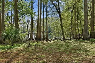 8604 Cameo Drive, New Port Richey, FL 34654 - Photo 22