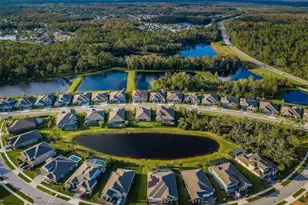 4197 Glade Wood Loop, New Port Richey, FL 34655 - Photo 14