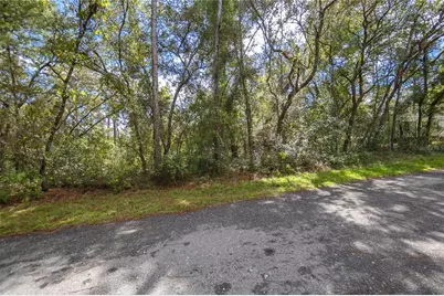 3210 E Michael Street, Inverness, FL 34453 - Photo 4