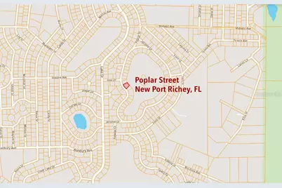 33 Poplar Street, New Port Richey, FL 34654 - Photo 8