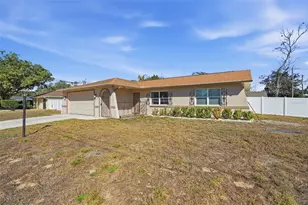 2353 Bishop Rd, Spring Hill, FL 34608 - Photo 38