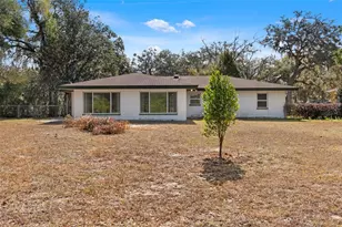 5067 Mockingbird Dr, Ridge Manor, FL 33523 - Photo 46