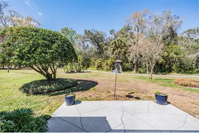 9525 Springmeadow Drive, New Port Richey, FL 34655 - Photo 26