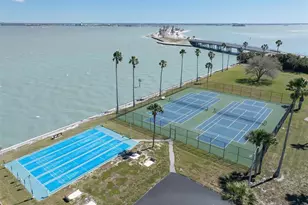 8 Glencoe Pl, Dunedin, FL 34698 - Photo 28