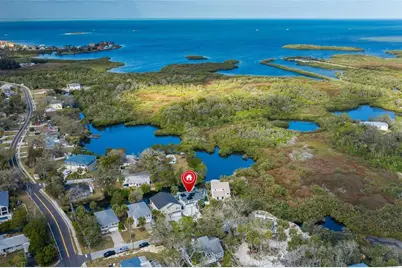 8447 Damen Lane, Port Richey, FL 34668 - Photo 12