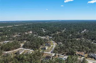 2 Pagoda Ct W, Homosassa, FL 34446 - Photo 40