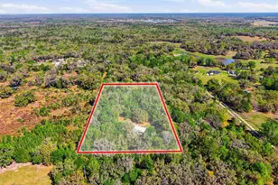 24350 Lanark Rd, Brooksville, FL 34601 - Photo 48