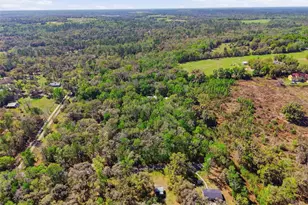 24350 Lanark Rd, Brooksville, FL 34601 - Photo 54