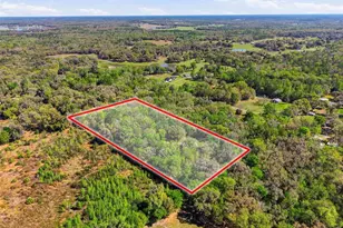 24350 Lanark Rd, Brooksville, FL 34601 - Photo 50