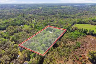 24350 Lanark Rd, Brooksville, FL 34601 - Photo 36