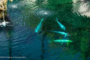 11915 W Riverhaven Dr, Homosassa, FL 34448 - Photo 40