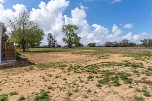 10877 Old Lakeland Hwy, Dade City, FL 33525 - Photo 44