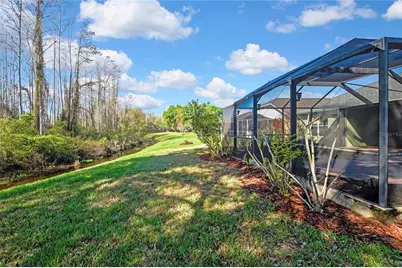 20738 Nectarine Place, Land O Lakes, FL 34637 - Photo 46