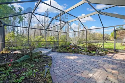 20738 Nectarine Place, Land O Lakes, FL 34637 - Photo 42