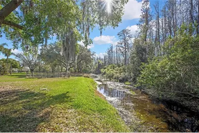 20738 Nectarine Place, Land O Lakes, FL 34637 - Photo 50