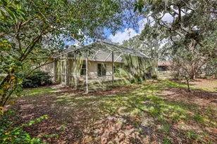 8178 Pinehurst Dr, Spring Hill, FL 34606 - Photo 38