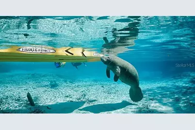 1750 W Westford Path, Hernando, FL 34442 - Photo 98