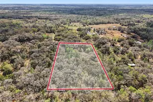 10423 Cheever Rd, Brooksville, FL 34601 - Photo 34