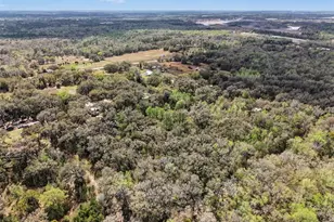10423 Cheever Rd, Brooksville, FL 34601 - Photo 32