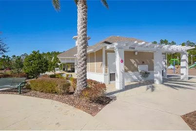 34382 Evergreen Hill Court, Wesley Chapel, FL 33545 - Photo 74