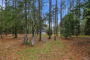 12092 S Hyacinth Point, Floral City, FL 34436 - Photo 66